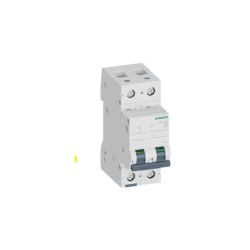 Magnetotermico Siemens 5SL6210-7 2P 10A C