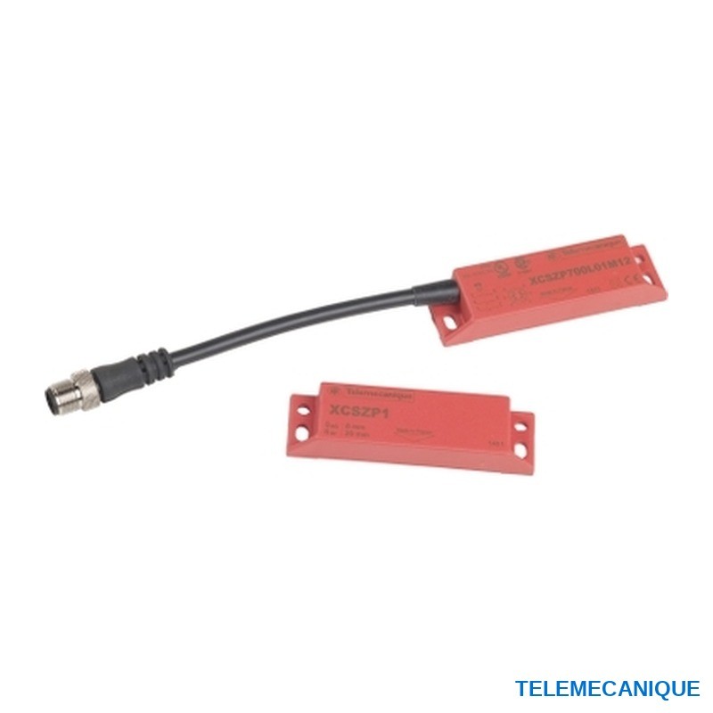 Int. magnetico XCSDMP XCSDMP700L01M12